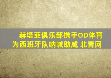 赫塔菲俱乐部携手OD体育为西班牙队呐喊助威 北青网